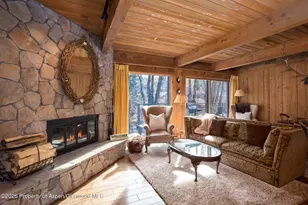 1039 E Cooper Ave, Aspen, CO 81611 - Photo 19