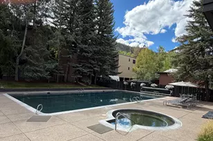 1039 E Cooper Ave, Aspen, CO 81611 - Photo 29