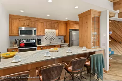 1039 E Cooper Avenue #11, Aspen, CO 81611 - Photo 19