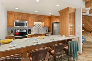 1039 E Cooper Ave, Aspen, CO 81611 - Photo 19