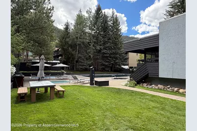 1039 E Cooper Avenue #11, Aspen, CO 81611 - Photo 3