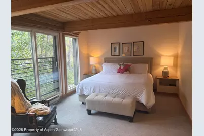 1039 E Cooper Avenue #11, Aspen, CO 81611 - Photo 7
