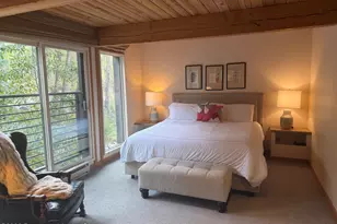 1039 E Cooper Ave, Aspen, CO 81611 - Photo 7