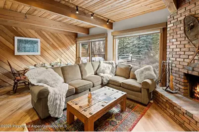 1039 E Cooper Avenue #11, Aspen, CO 81611 - Photo 21