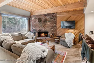 1039 E Cooper Avenue #11, Aspen, CO 81611 - Photo 17