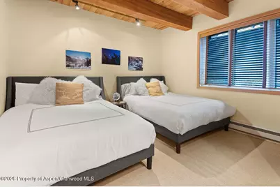 1039 E Cooper Avenue #11, Aspen, CO 81611 - Photo 15