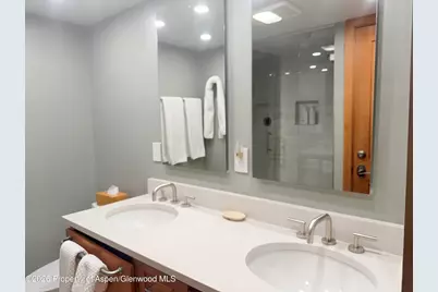 1039 E Cooper Avenue #11, Aspen, CO 81611 - Photo 9