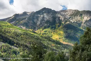 795 Serpentine Trail, Marble, CO 81623 - Photo 57
