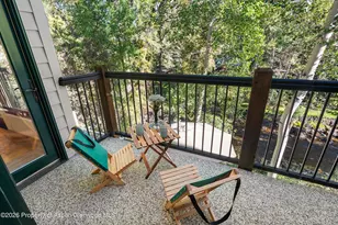 960 E Hopkins Ave, Aspen, CO 81611 - Photo 27
