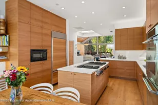 960 E Hopkins Ave, Aspen, CO 81611 - Photo 41