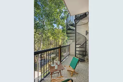 960 E Hopkins Avenue, Aspen, CO 81611 - Photo 51