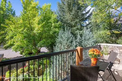 960 E Hopkins Avenue, Aspen, CO 81611 - Photo 25