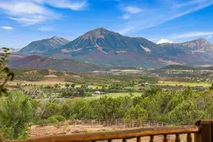 41263 Hwy 133, Paonia, CO 81428 - Photo 29
