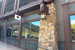 39 Boomerang Rd, Aspen, CO 81611 - Photo 17