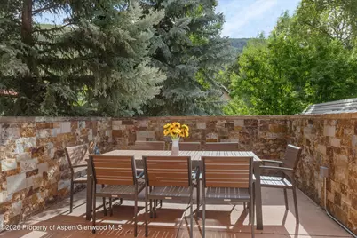 115 Park Avenue, Aspen, CO 81611 - Photo 17