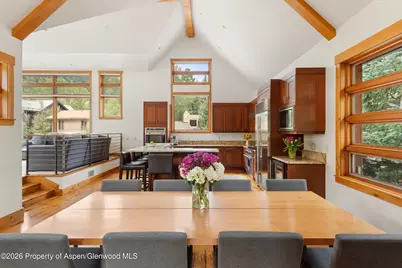 115 Park Avenue, Aspen, CO 81611 - Photo 15