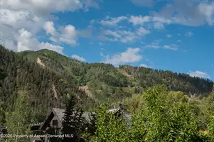 115 Park Ave, Aspen, CO 81611 - Photo 5