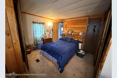 5033 County Road 335 #276, New Castle, CO 81647 - Photo 11
