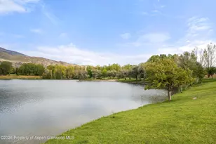 353 Goose Ln, Carbondale, CO 81623 - Photo 47