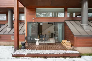 311 S Aspen St, Aspen, CO 81611 - Photo 15