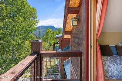 372 Hawk Lane, Basalt, CO 81621 - Photo 45