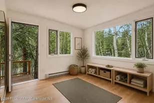 203 Eastwood Dr, Aspen, CO 81611 - Photo 11