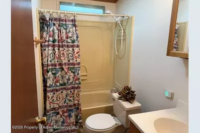100 James Circle, ElJebel, CO 81623 - Photo 17