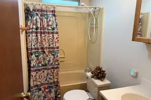 100 James Cir, ElJebel, CO 81623 - Photo 17
