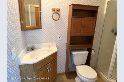100 James Circle, ElJebel, CO 81623 - Photo 13