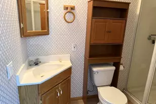 100 James Cir, ElJebel, CO 81623 - Photo 13