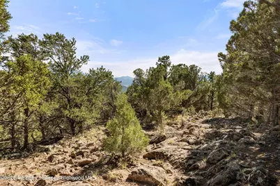 198 Crescent Lane, Glenwood Springs, CO 81601 - Photo 9