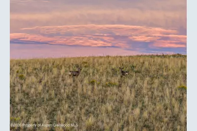 728 County Road 18 S, Craig, CO 81625 - Photo 53