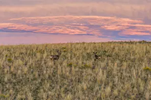 728 County Rd 18 S, Craig, CO 81625 - Photo 53
