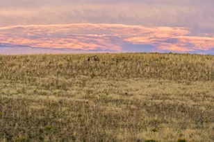 728 County Rd 18 S, Craig, CO 81625 - Photo 55