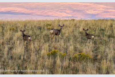 728 County Road 18 S, Craig, CO 81625 - Photo 57