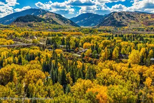 635 Sneaky Ln, Aspen, CO 81611 - Photo 37