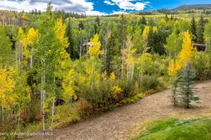 916 Burnt Mountain Dr, Snowmass Village, CO 81615 - Photo 15