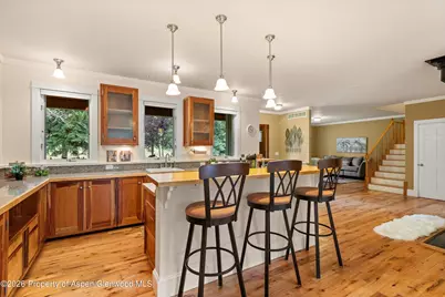 28 Crystal Park Drive, Carbondale, CO 81623 - Photo 9