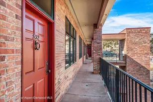 455 Gold Rivers Ct, Basalt, CO 81621 - Photo 17