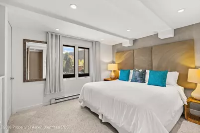 731 E Durant Avenue #10, Aspen, CO 81611 - Photo 11