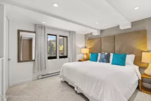 731 E Durant Ave, Aspen, CO 81611 - Photo 11