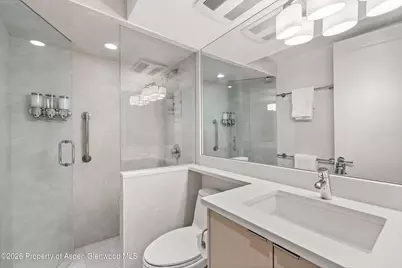 731 E Durant Avenue #10, Aspen, CO 81611 - Photo 15