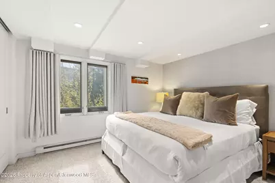 731 E Durant Avenue #10, Aspen, CO 81611 - Photo 13