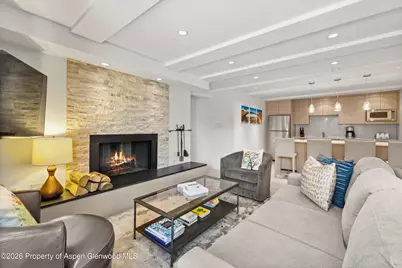 731 E Durant Avenue #10, Aspen, CO 81611 - Photo 5