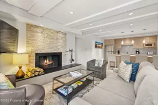 731 E Durant Ave, Aspen, CO 81611 - Photo 5