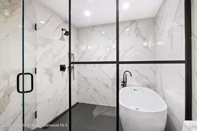 738 S Galena Street #1-C, Aspen, CO 81611 - Photo 9