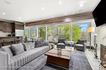 738 S Galena Street #1-C, Aspen, CO 81611 - Photo 3