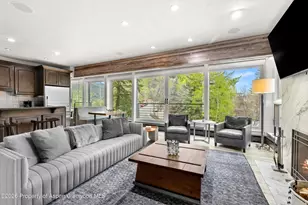 738 S Galena St, Aspen, CO 81611 - Photo 3