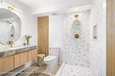 901 E Hyman Avenue #14, Aspen, CO 81611 - Photo 11