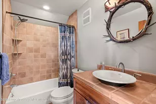 411 Fox Run Dr, Carbondale, CO 81623 - Photo 63